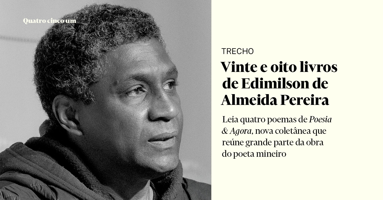 Vinte e oito livros de Edimilson de Almeida Pereira