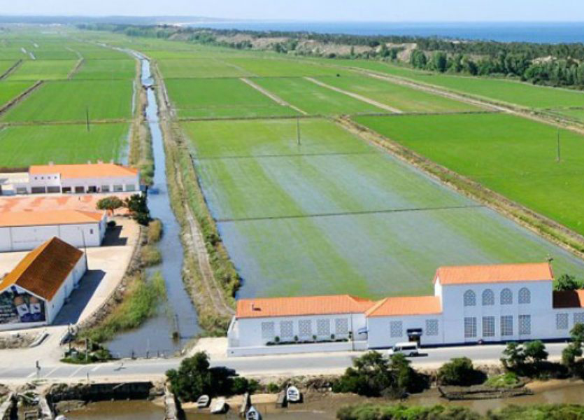 Norfin, Draycott e Luís Horta e Costa disputam ativos turísticos da Vanguard na Comporta