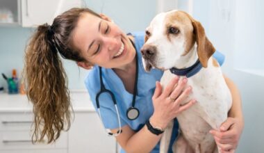 Veja as causas e os sintomas da hipertrigliceridemia em animais