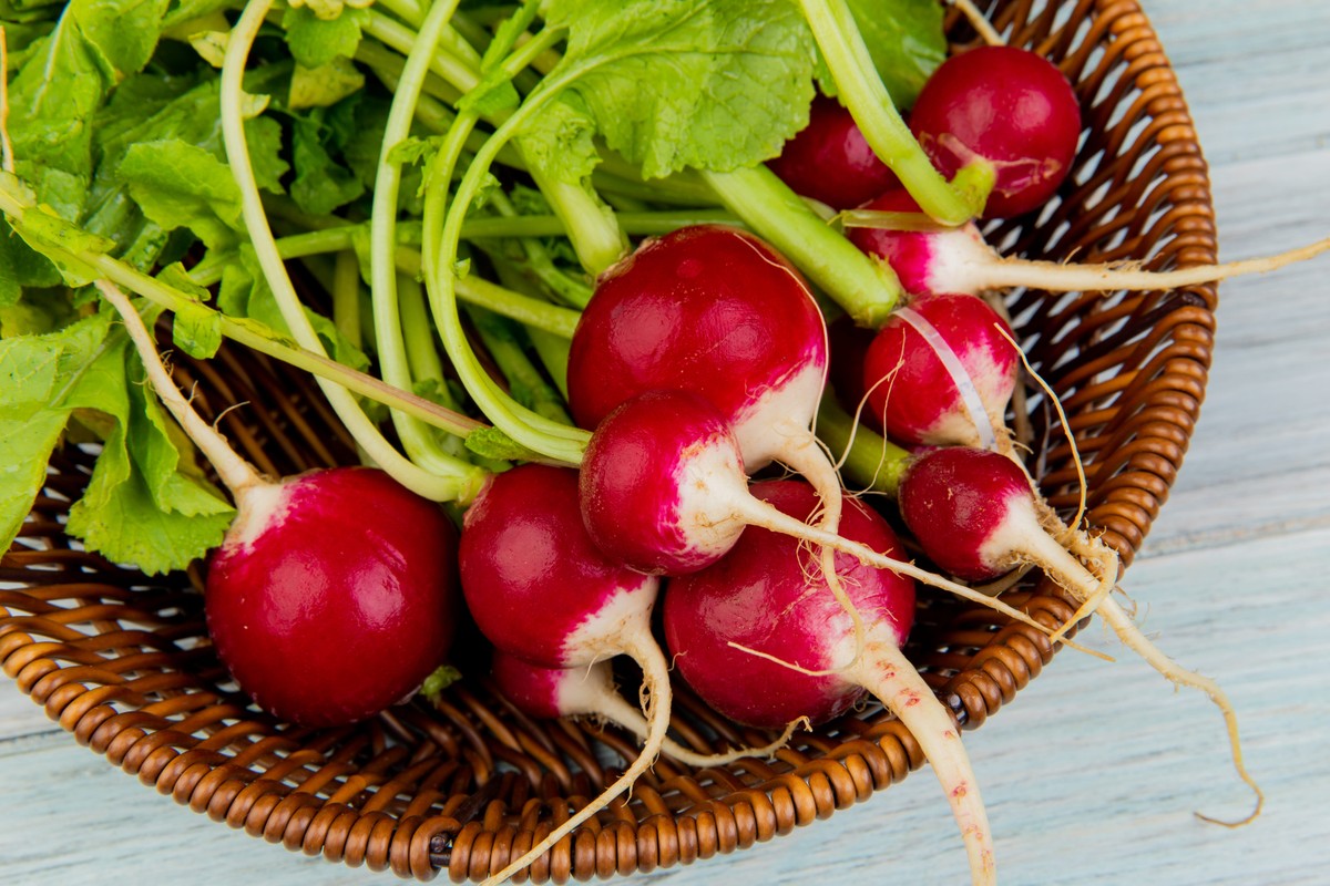 Estudo com rabanetes mostra a 1ª evidência de que nanopartículas de plástico podem se acumular nas partes comestíveis dos vegetais