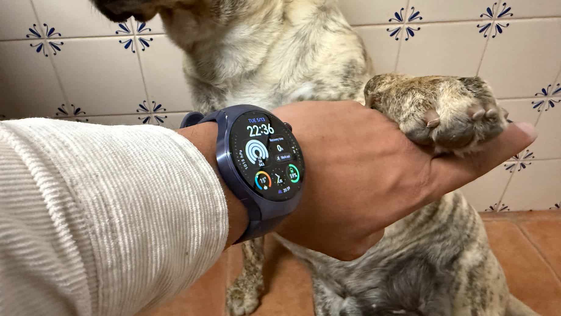 huawei watch fit 4 e fit 4 pro: agora há duas versões! nda