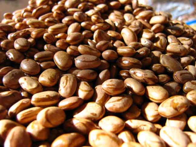 100 gramas de feijão carioca cozido contém cerca de 8,5 gramas de fibras. Além disso, este alimento também é uma boa fonte de cálcio, proteína, ferro, magnésio, fósforo, potássio, selênio, folato e colina. - Flickr/ Miriam Beijos