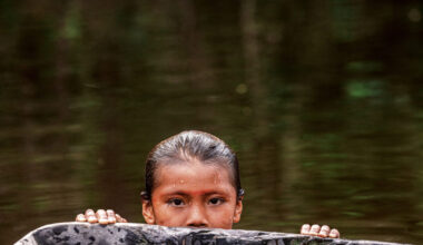 Livro finalista do Jabuti apoia construção de escola Yanomami
