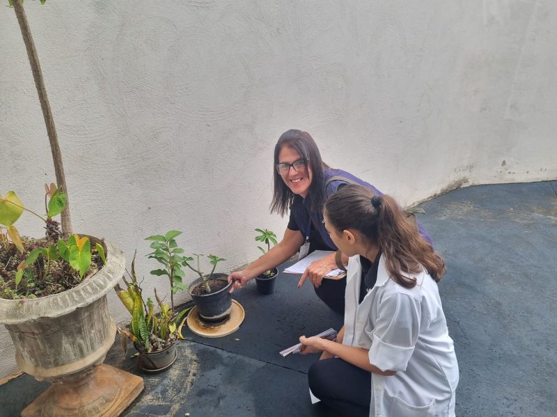 Marília realiza nova ação contra o Aedes aegypti neste sábado na zona Norte • Marília Notícia