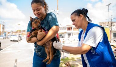 Prefeitura de Maceió | Saúde de Maceió imuniza mais de 30 mil animais…