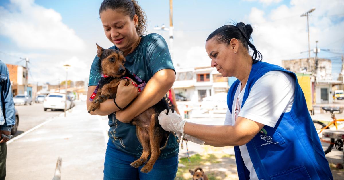 Prefeitura de Maceió | Saúde de Maceió imuniza mais de 30 mil animais…