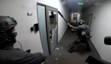 Desmantelada rede europeia de cibercriminalidade. Sete pessoas foram detidas