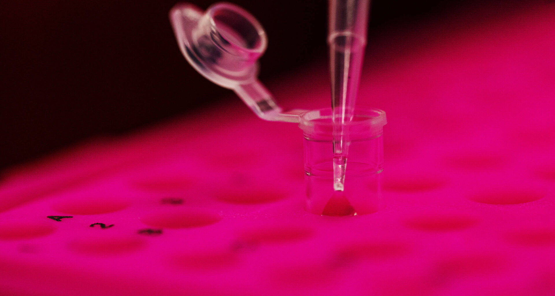 Câncer de mama: teste genético pode identificar risco - 22/10/2025 - Equilíbrio e Saúde