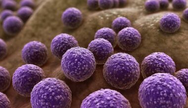 Brasil enfrenta alta de infecções resistentes - 22/10/2025 - Equilíbrio e Saúde