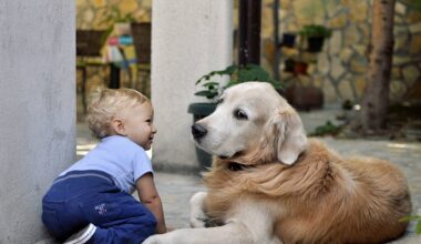 Crescer ao lado de cães pode reduzir risco de asma infantil, revela novo estudo; entenda – R7 Entretenimento