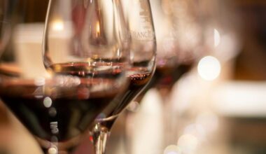 Vinho com pontuação 90/100 está com desconto de 70% no Pingo Doce