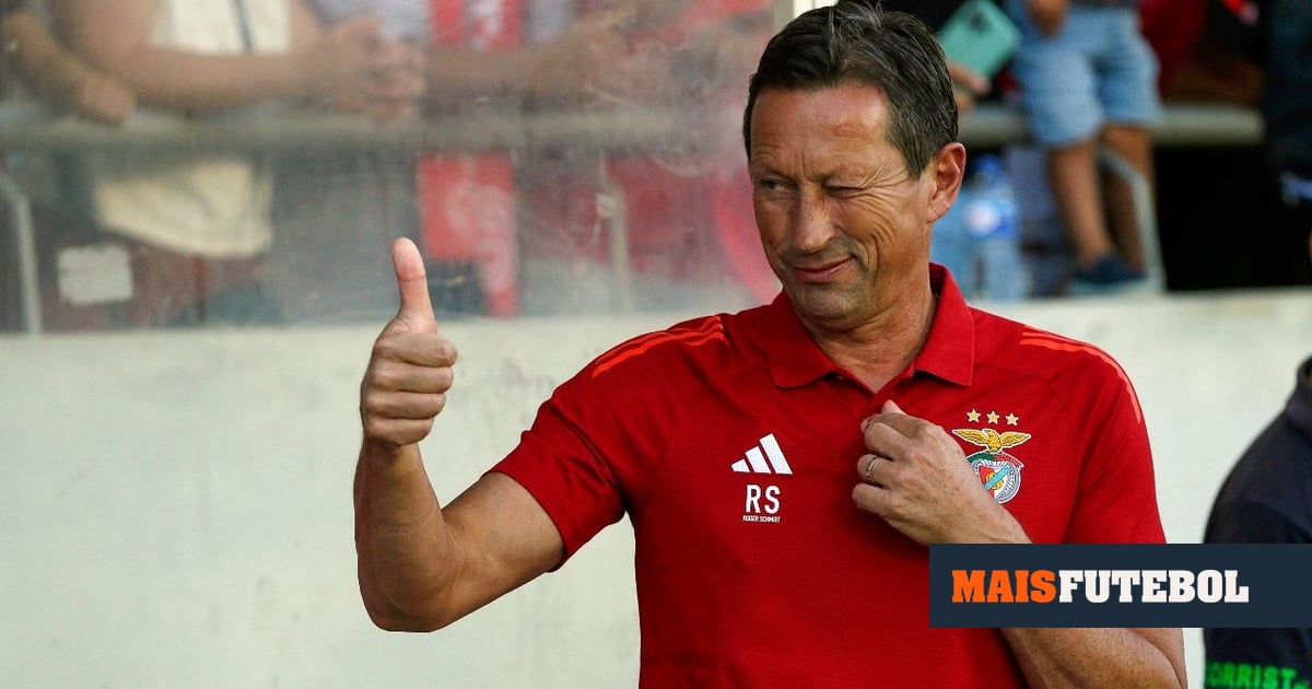 Roger Schmidt abraça novo desafio no Japão... e não como treinador