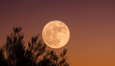 Primeira Superlua de 2025? Caminhe com ela e descubra Sintra numa noite inesquecível