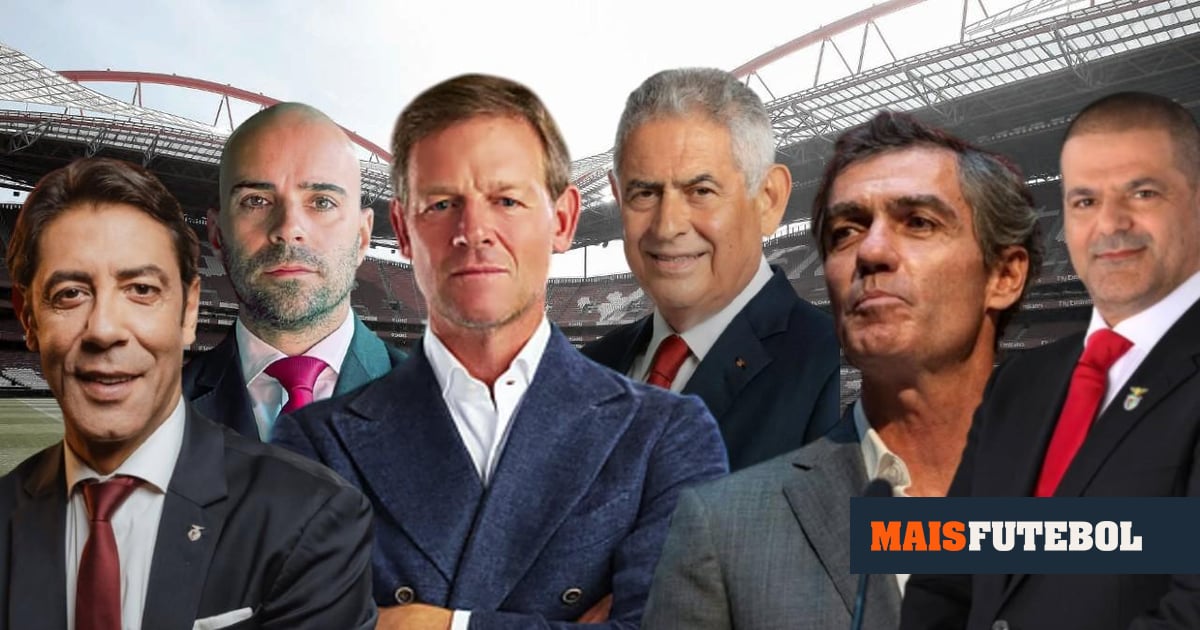 Benfica: Noronha Lopes ganha em Lisboa, Manteigas em Setúbal, Rui Costa no resto do país