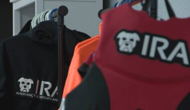 do resgate de Kira a aliado da Proteção Civil