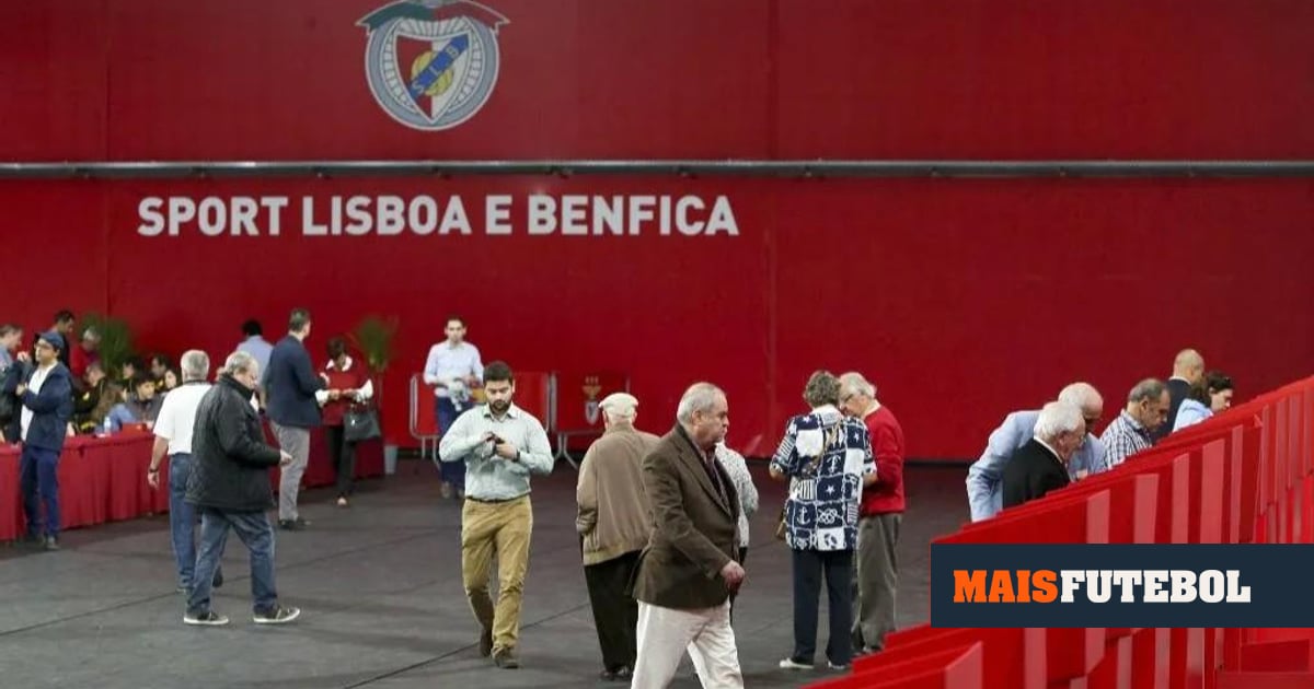 Benfica: Noronha Lopes vence as eleições após segunda volta com Rui Costa