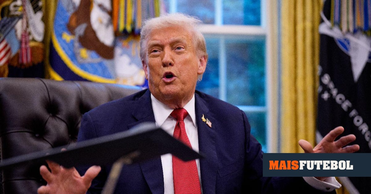 Donald Trump confirma combate de UFC na Casa Branca