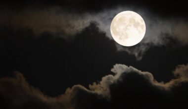 Qual a fase da Lua nesta quarta-feira (8)? Veja o calendário lunar de outubro