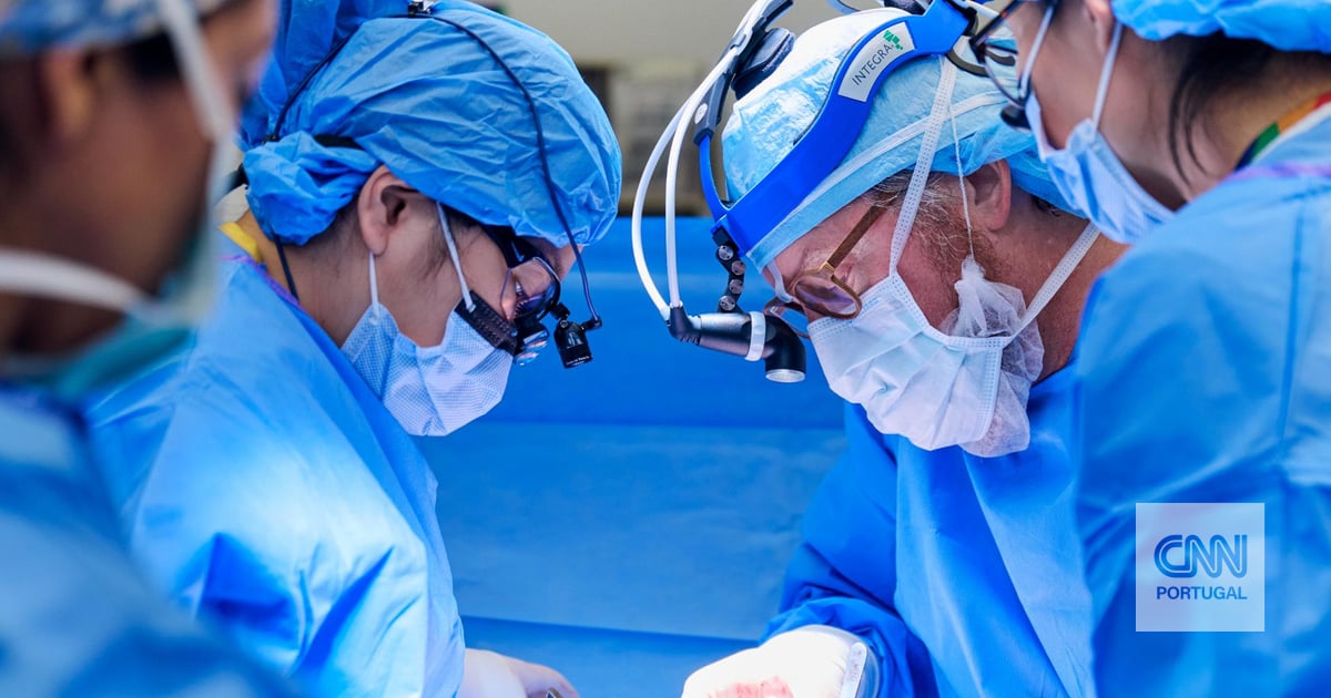 Homem sobrevive quase seis meses com transplante de fígado de porco na China