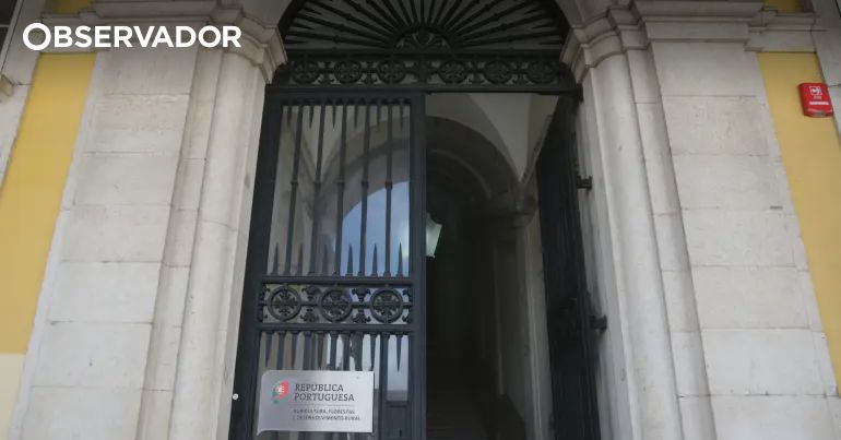 Chefe de gabinete da Agricultura denunciado por assédio – Observador