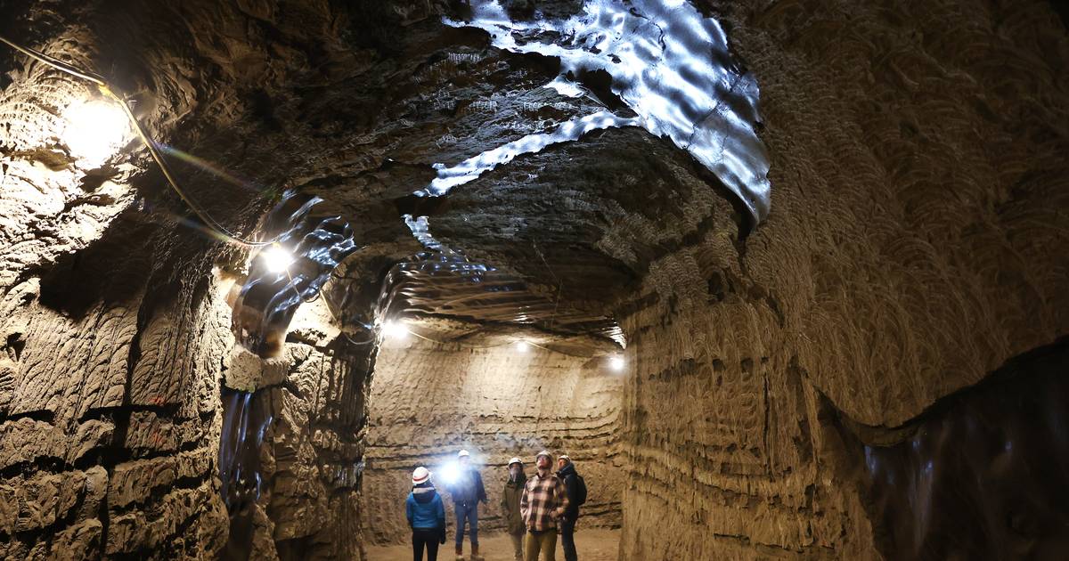O que é o permafrost? Micróbios com 40 mil anos “acordam” do gelo e voltam a viver