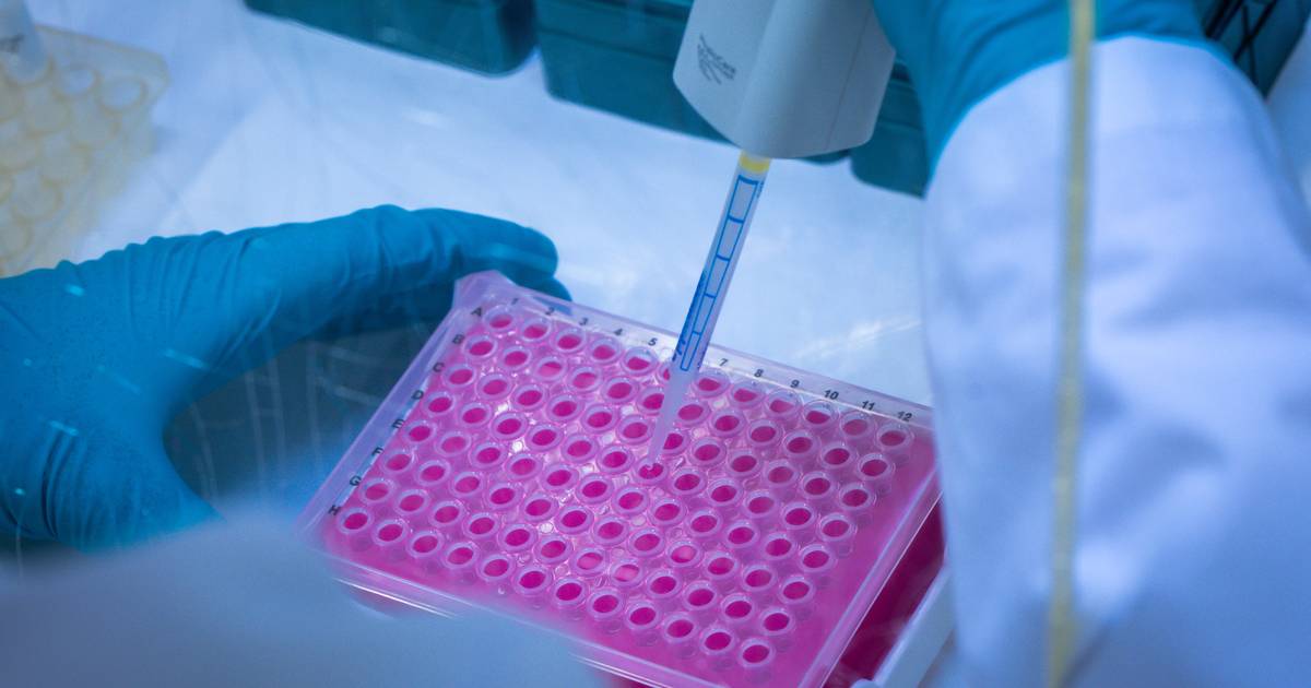 eliminadas mutações genéticas que originam alguns dos cancros mais mortais