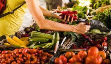 Dietas veganas e vegetarianas podem ser mais econômicas e nutritivas que as carnívoras