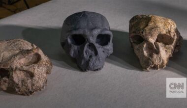 Crânio descoberto na China está a abalar a cronologia da evolução humana