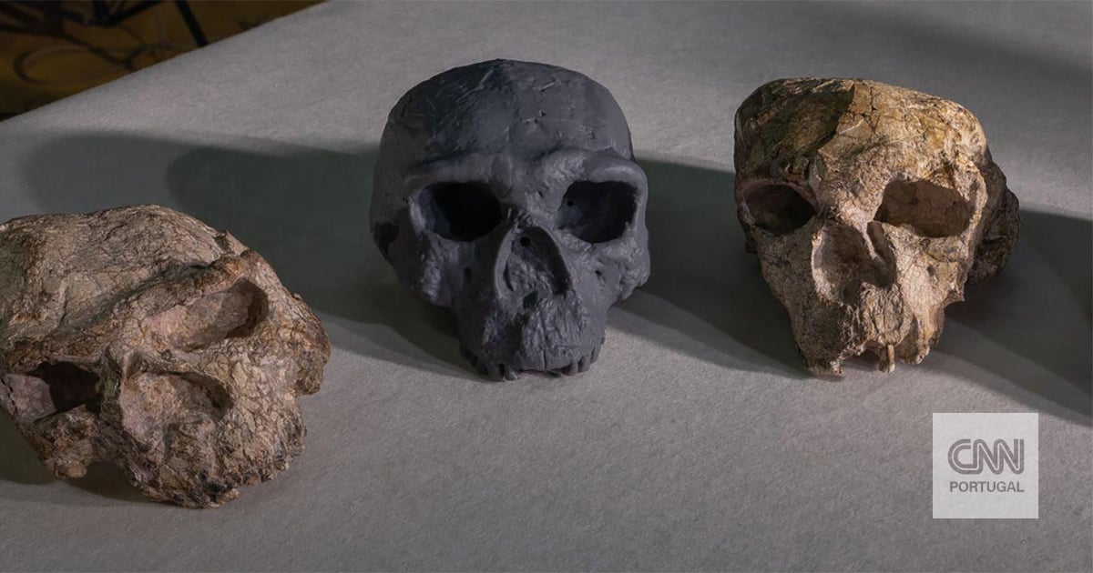 Crânio descoberto na China está a abalar a cronologia da evolução humana