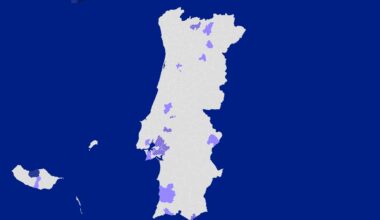 Com votações entre 0,3% e 49%, o Chega não foi além de três câmaras mas em 22 autarquias ficou em segundo (veja os mapas)