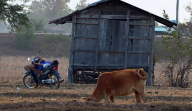 Mostra de SP: Tsai Ming-Liang volta com filme sensorial - 18/10/2025 - Cinema
