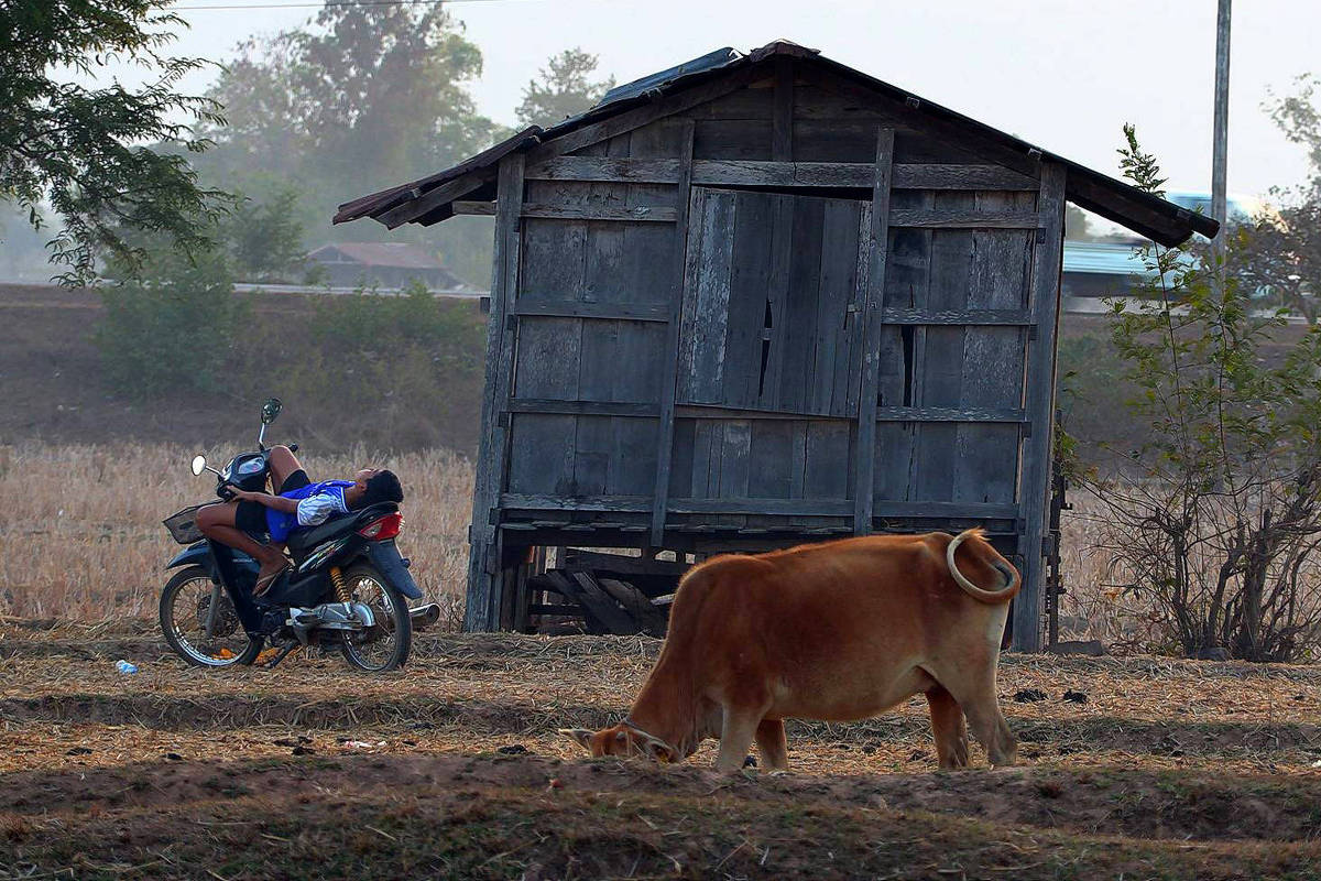 Mostra de SP: Tsai Ming-Liang volta com filme sensorial - 18/10/2025 - Cinema