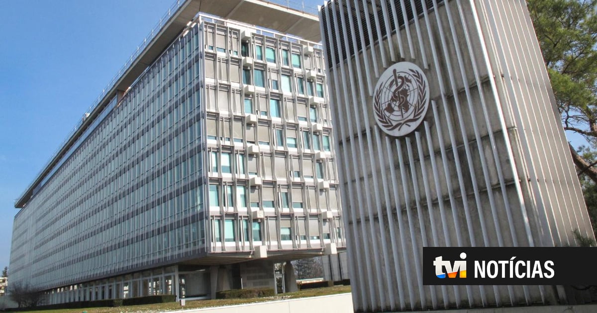 OMS defende políticas rigorosas sobre álcool para reduzir risco de cancro na Europa