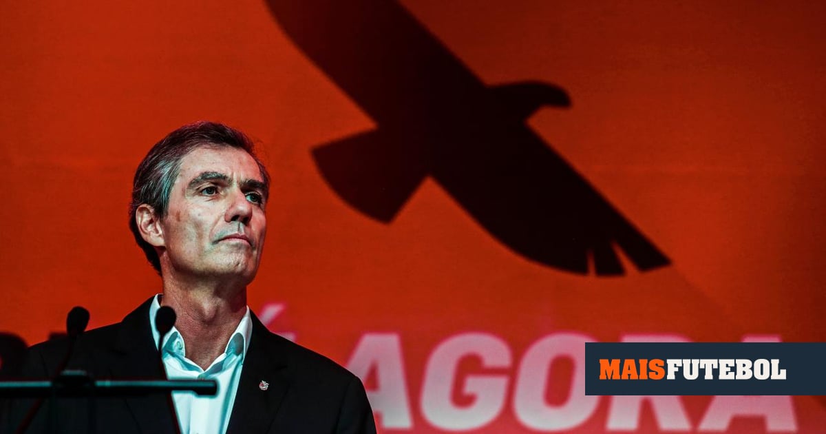 Noronha Lopes mostra rendimentos: «Acumulei riqueza de 23 milhões de euros»