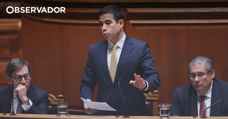 PSD separa perda de nacionalidade da lei original – Observador