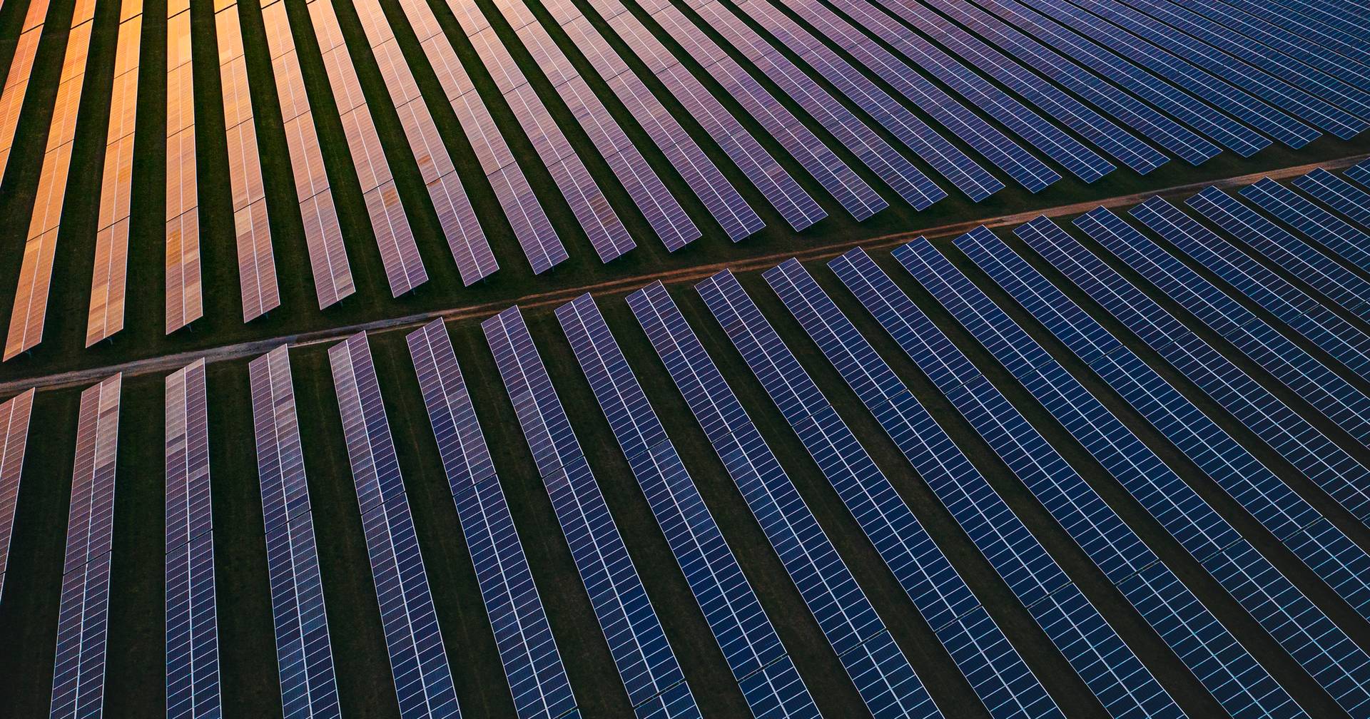 Vem aí a Sophia: será uma das maiores centrais solares do país e terá um investimento de quase €600 milhões