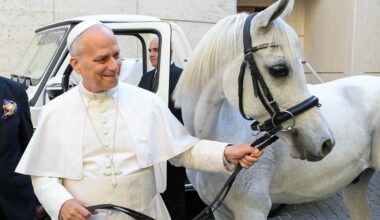 Um polonês presenteou o Papa com um cavalo árabe
