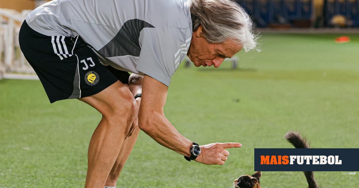 «Bichinha, anda cá»: o momento hilariante de Jesus... com um gato