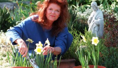 Morre Samantha Eggar, vencedora de Cannes e indicada ao Oscar, aos 86 anos