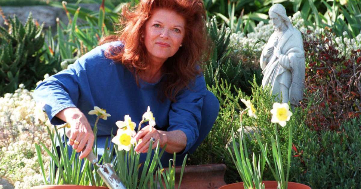 Morre Samantha Eggar, vencedora de Cannes e indicada ao Oscar, aos 86 anos