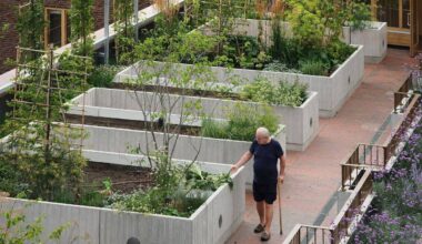 Conheça o prédio desenhado para combater a solidão - 19/10/2025 - Cotidiano