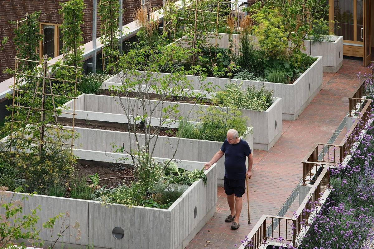 Conheça o prédio desenhado para combater a solidão - 19/10/2025 - Cotidiano