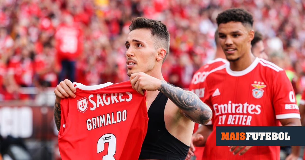 Grimaldo recorda tensão com adeptos do Benfica e lembra Félix e Enzo