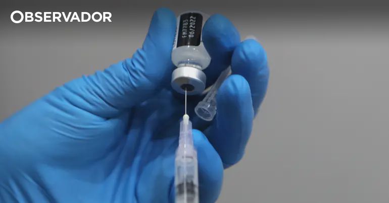 Mais de 1,2 milhões de utentes vacinados contra a gripe – Observador