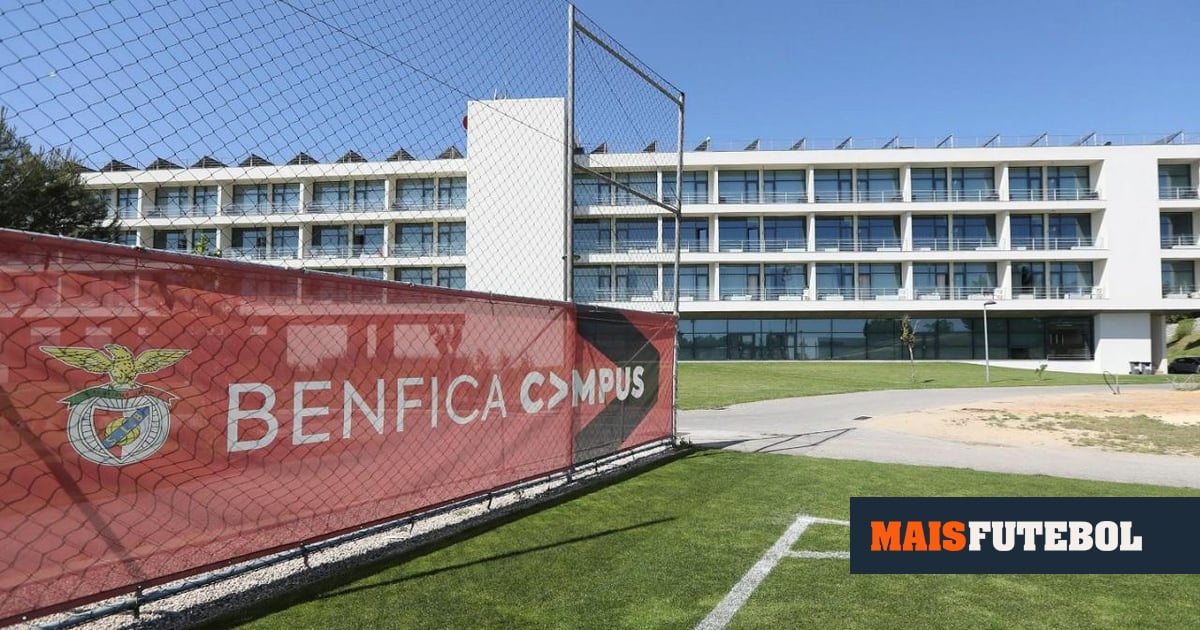 Observatório do Futebol: formação do Benfica é a melhor do mundo