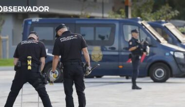 Polícia espanhola recupera obra de Picasso desaparecida – Observador