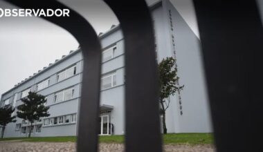 Vagos. Jovem terá escondido arma na campa dos avós paternos – Observador