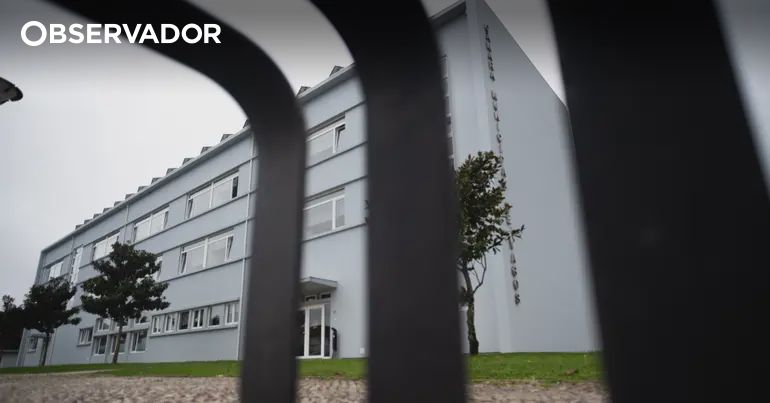 Vagos. Jovem terá escondido arma na campa dos avós paternos – Observador