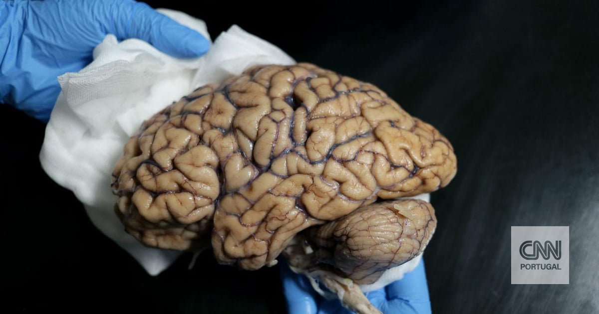 Análise de sangue pode detetar doença de Parkinson antes dos sintomas