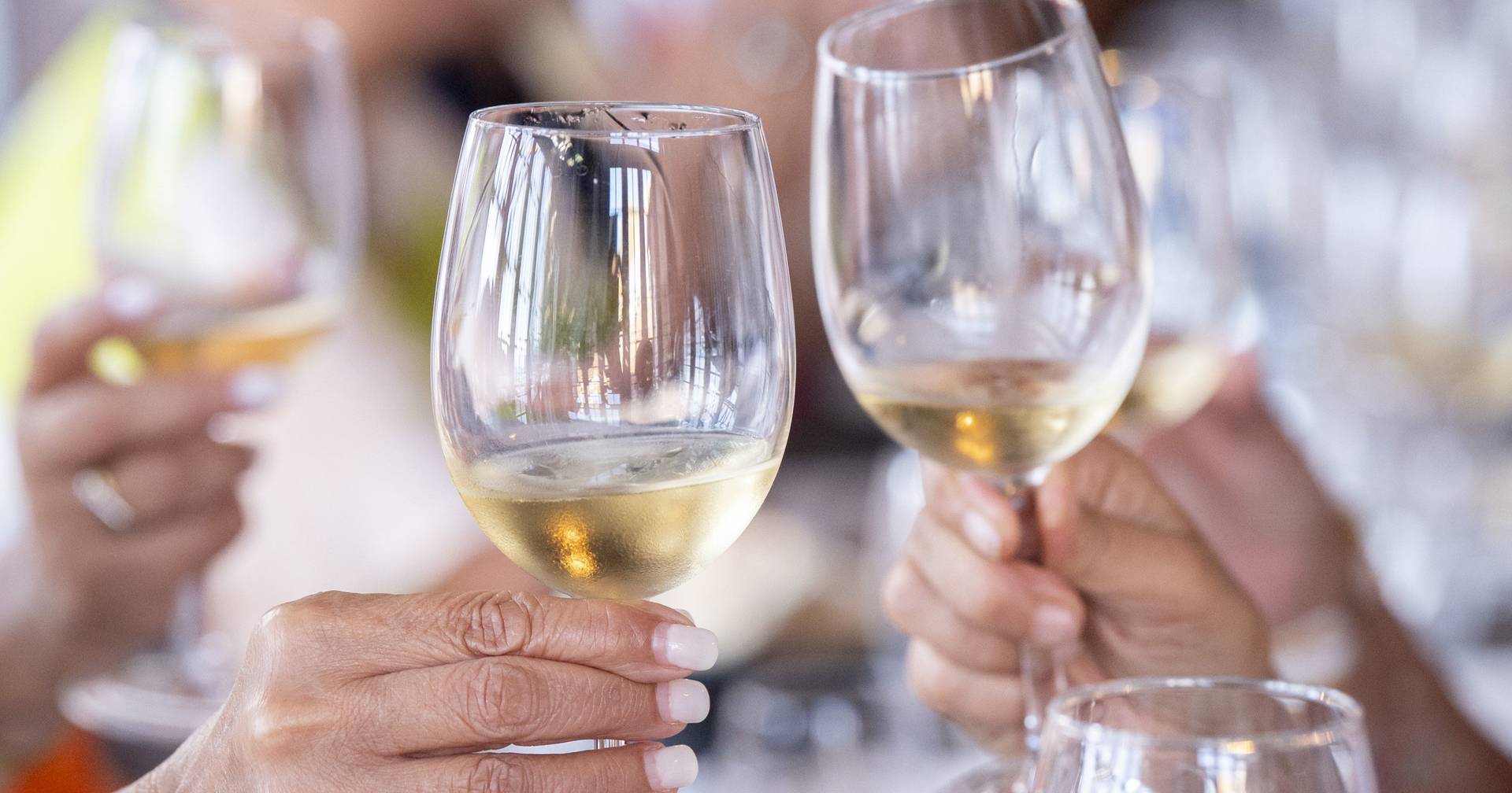 O júri já decidiu: estes são os 10 melhores Vinhos de Lisboa de 2025